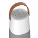 ION | Audio Bright Max Bluetooth Speaker with Lighting